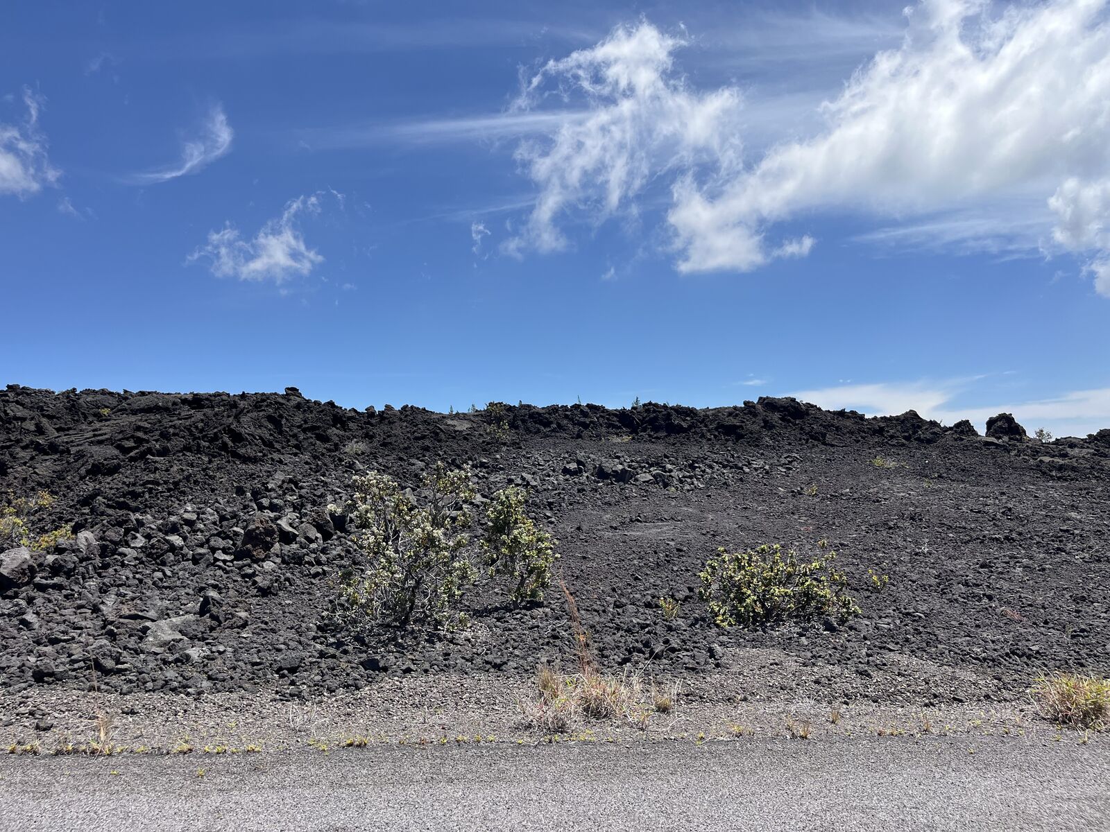 Property Photo:  Pikake Ln  HI 96737 