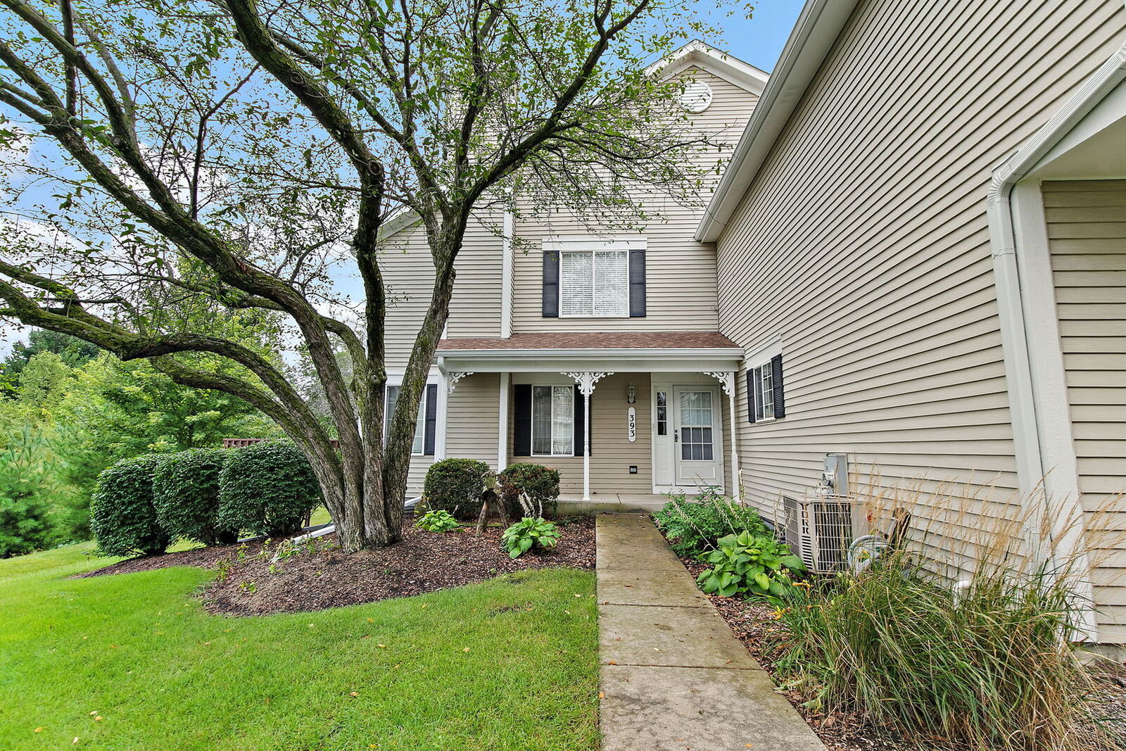 Property Photo:  393 Lowell Drive 393  IL 60177 
