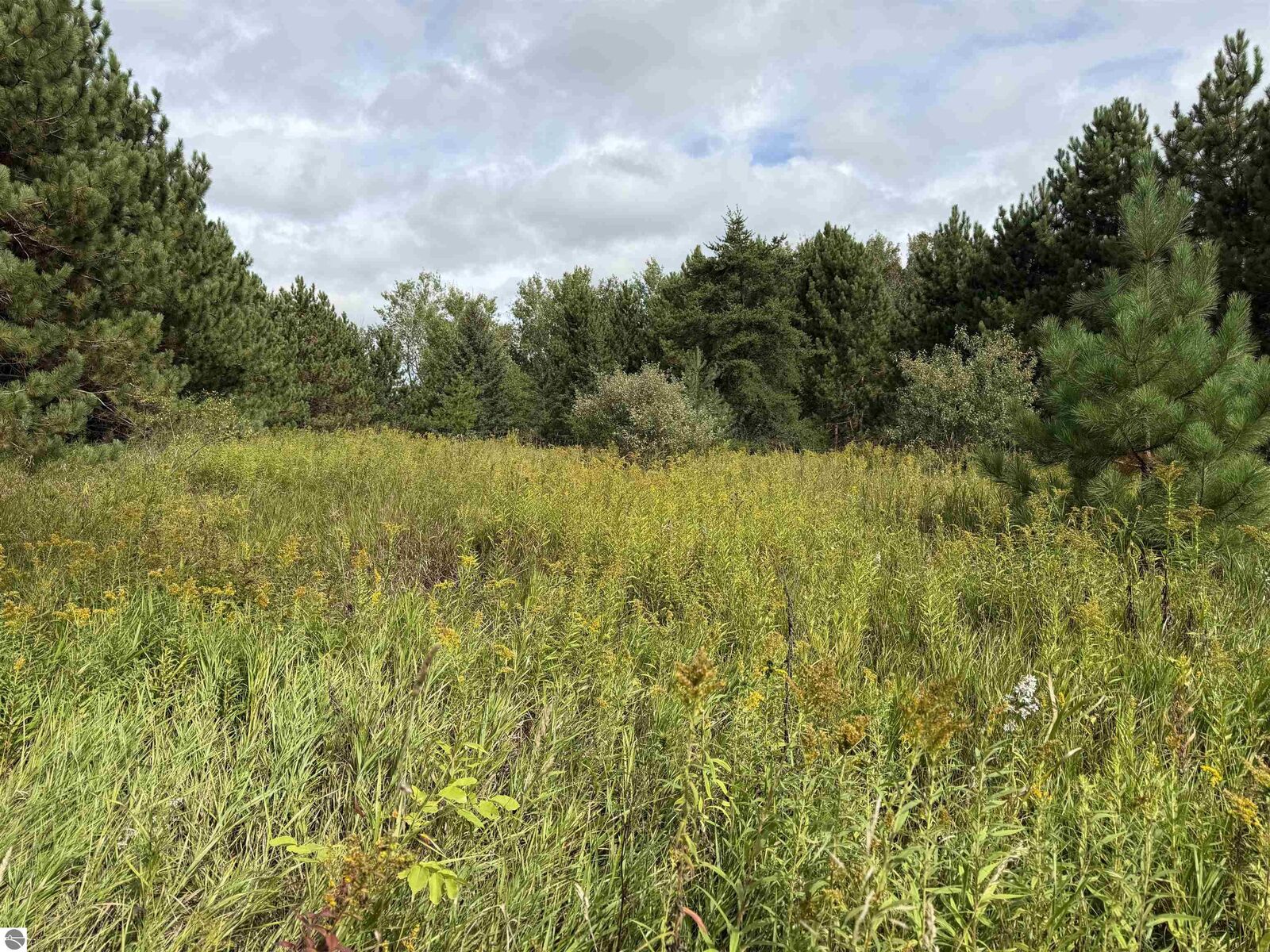 Property Photo: V/L 185th Avenue MI 49655