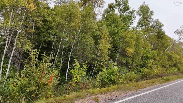 Property Photo:  Lot 9 Balmoral Road  NS B0K 1V0 