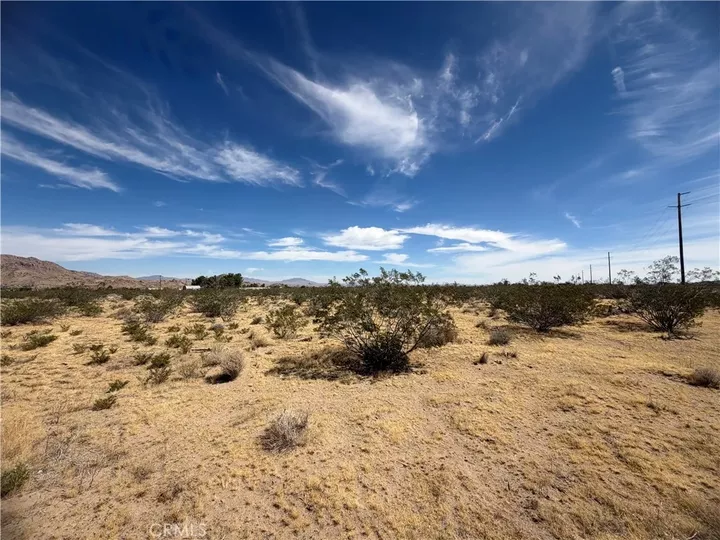 Property Photo: 9705 Buena Vista CA 92356