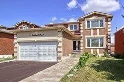 Property Photo:  117 Yorkland Street Bsmt  ON L4S 1C4 