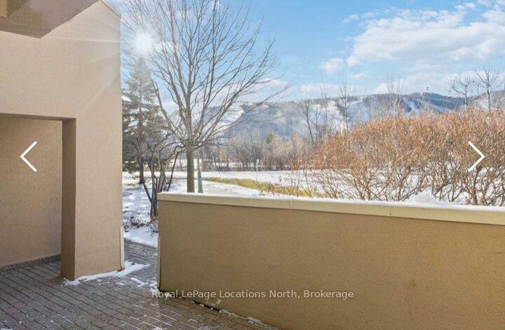 Property Photo:  107 Wintergreen Place N 117  ON L9Y 0P8 