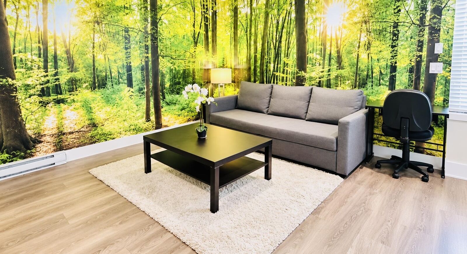 Property Photo:  2161 167 St Furnished Bsmt  BC V3Z 9X9 