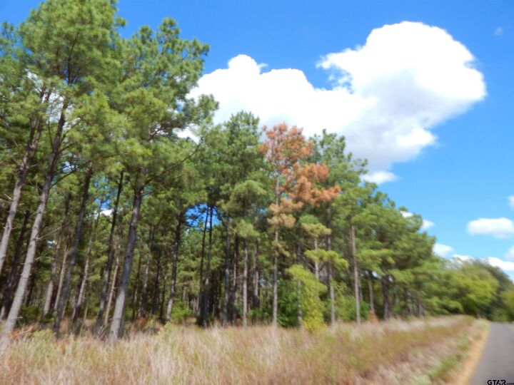 Property Photo:  Tbd 10 Acres West Spruce Rd  TX 75755 