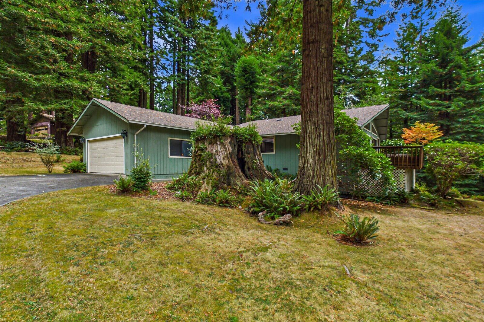 Property Photo:  15 California Avenue  CA 95521 