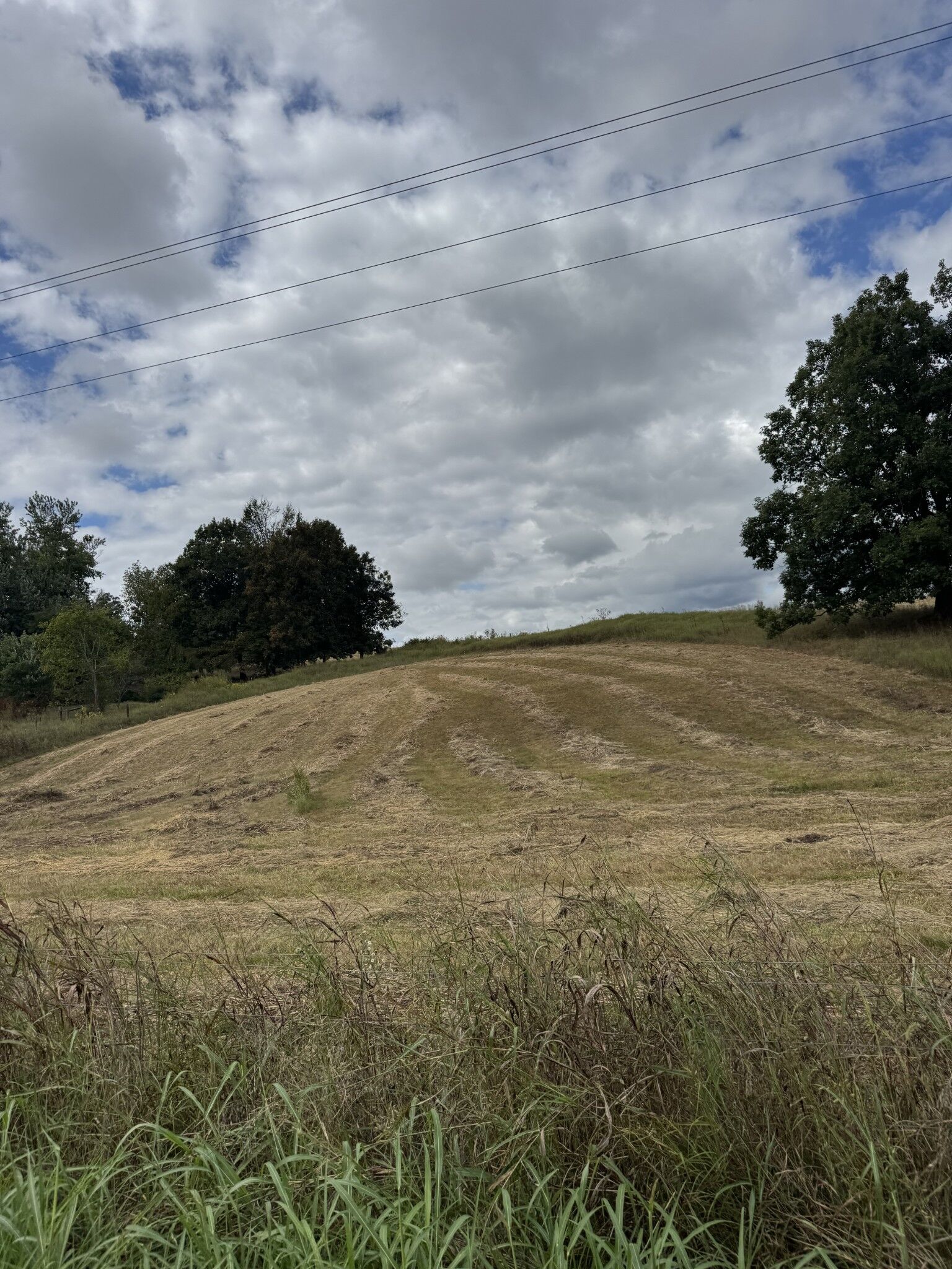 Property Photo:  201 Perrigo Ln  TN 37083 
