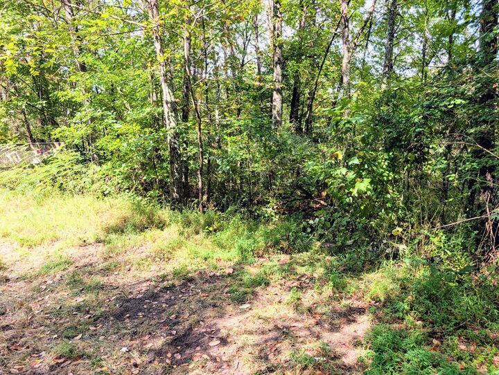 Property Photo:  0 Man Street  TN 37387 