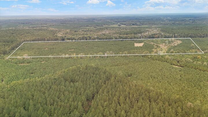 Property Photo:  000 Augusta Hwy Highway  SC 29481 