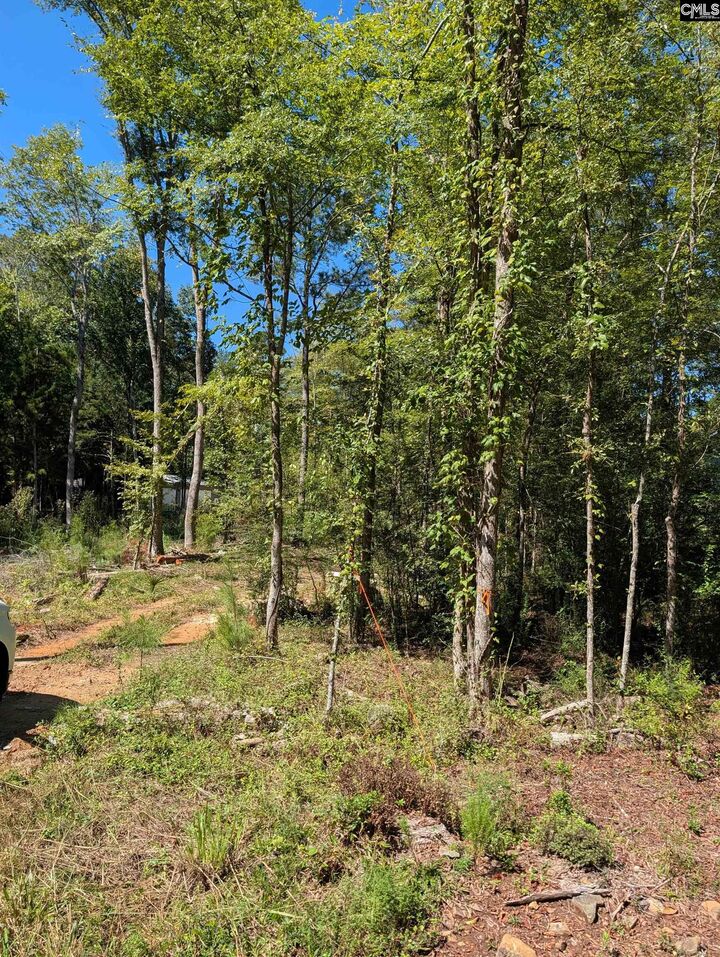 Property Photo: 1107 Hopewell Church SC 29063