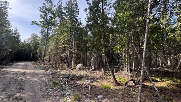 Property Photo: Tbd Shiawassee Trl Lot 128 MI 49745