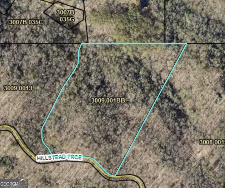 Property Photo: 29B Hillstead Trace GA 30540