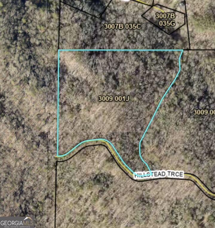 Property Photo:  29A Hillstead Trace  GA 30540 