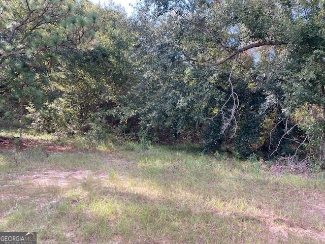 Property Photo:  6965 Jim Pruett Road  GA 31023 