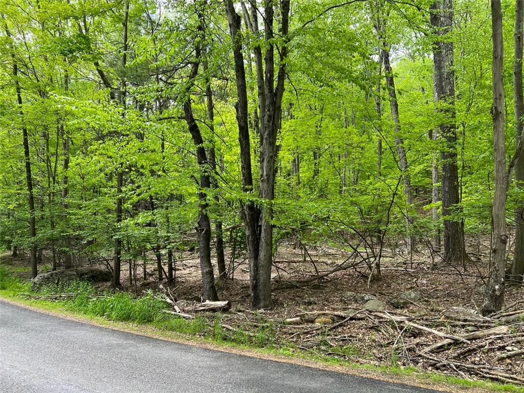 Property Photo:  589 Tamarack Lane  PA 18436 