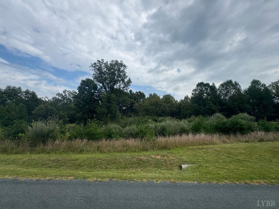 Property Photo:  0 Love Lady Creek Road  VA 24574 