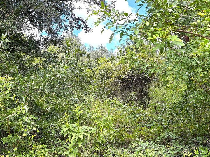 Property Photo: 13276 Johannes Avenue FL 33953