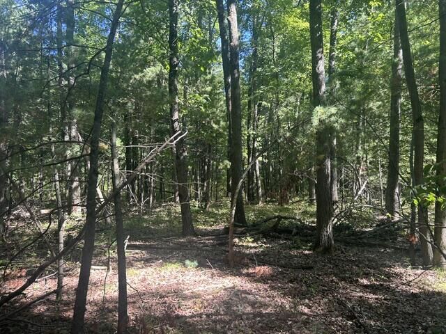 Property Photo: 9 Mile Road MI 49346