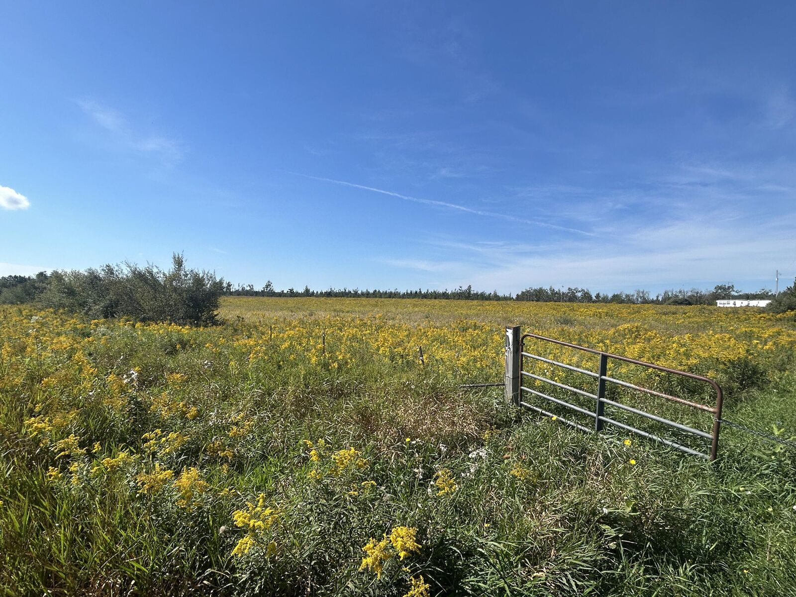Property Photo:  V/L Coville Road  MI 48742 