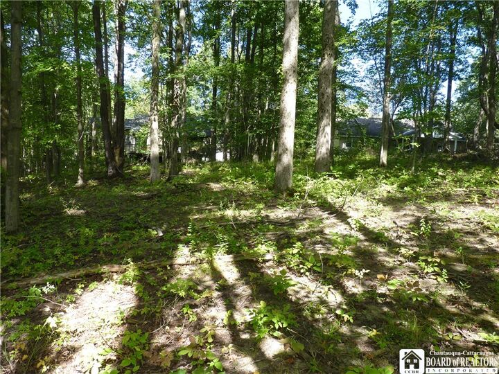 Property Photo: Scandia Drive N NY 14712