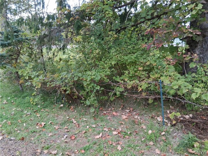 Property Photo:  49 Lintal Road  NY 14845 