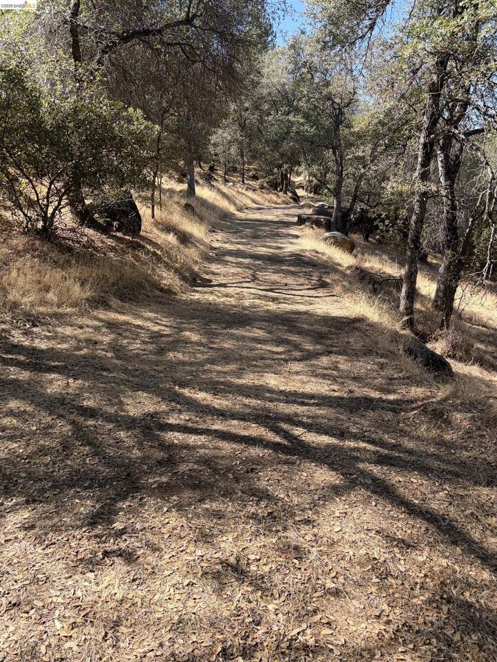 Property Photo: 13643 Terrace Dr CA 95370
