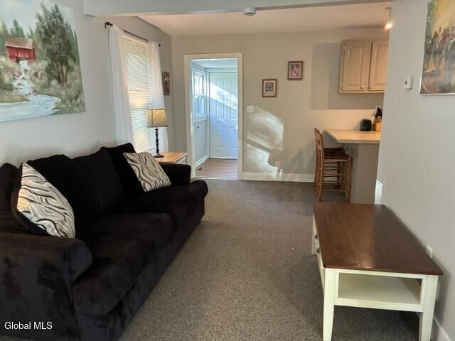 Property Photo:  26 Excelsior Spring Avenue  NY 12866 