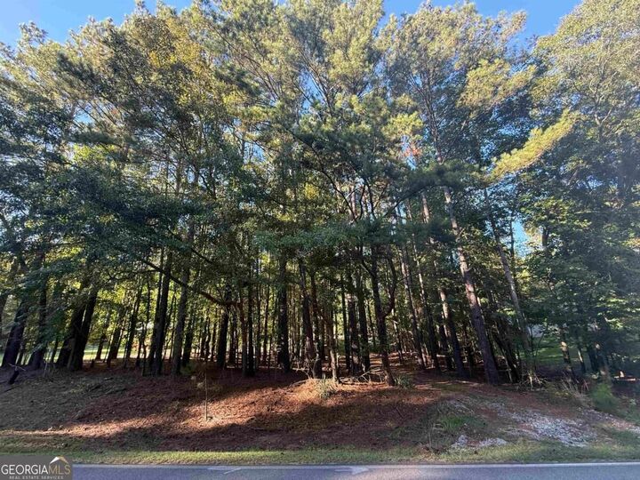 Property Photo: 215 Rockville Springs Drive GA 31024