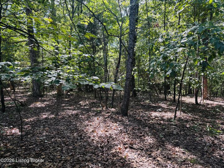 Property Photo:  Lot 50-51 Rams Run  KY 40165 