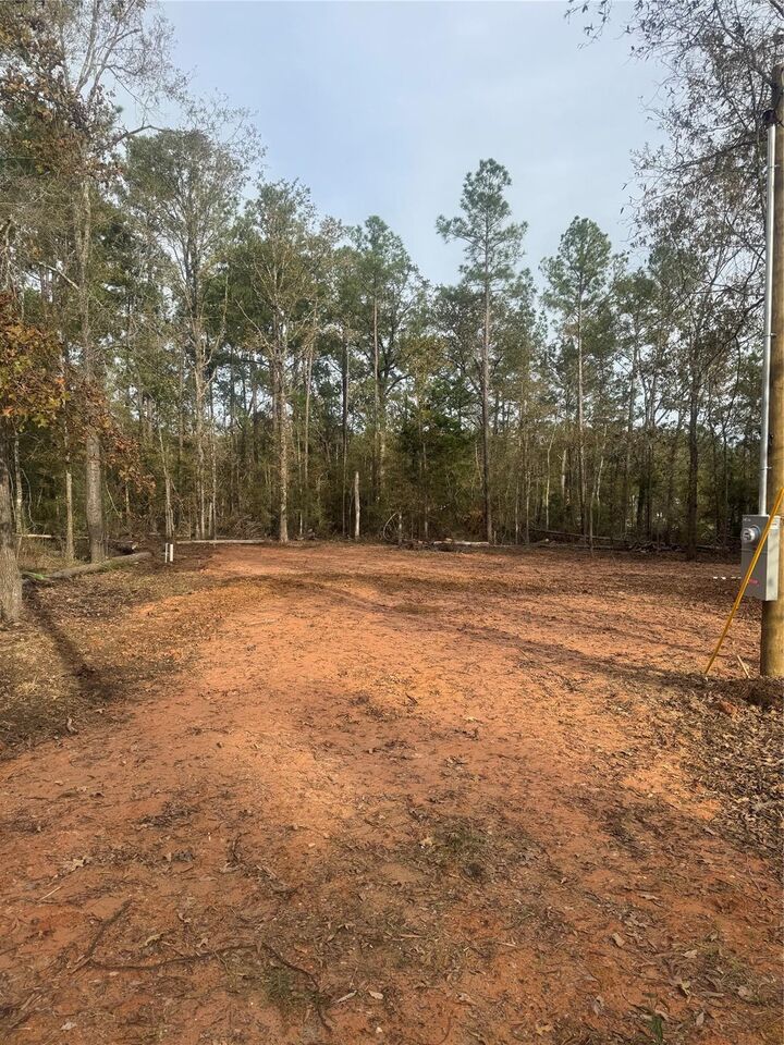 Property Photo:  197 Alta Vista Drive  TX 77351 
