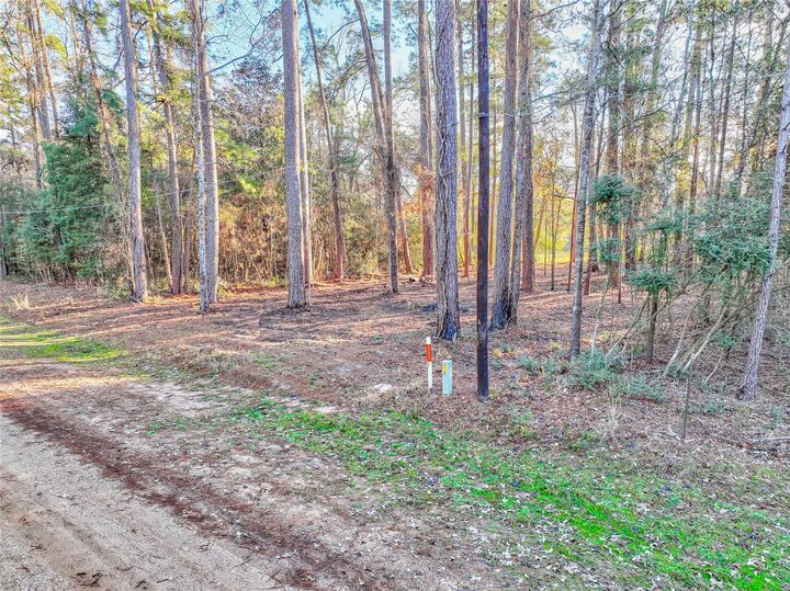 Property Photo: 171 Pine Shadow Street TX 77331