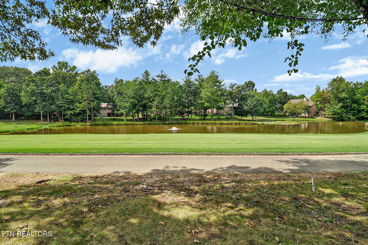 Property Photo:  46 Westridge Court  TN 38558 