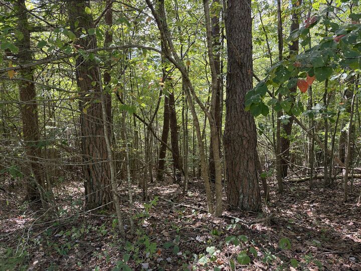 Property Photo:  0 E Taxiway Drive Lot 19  KY 42602 