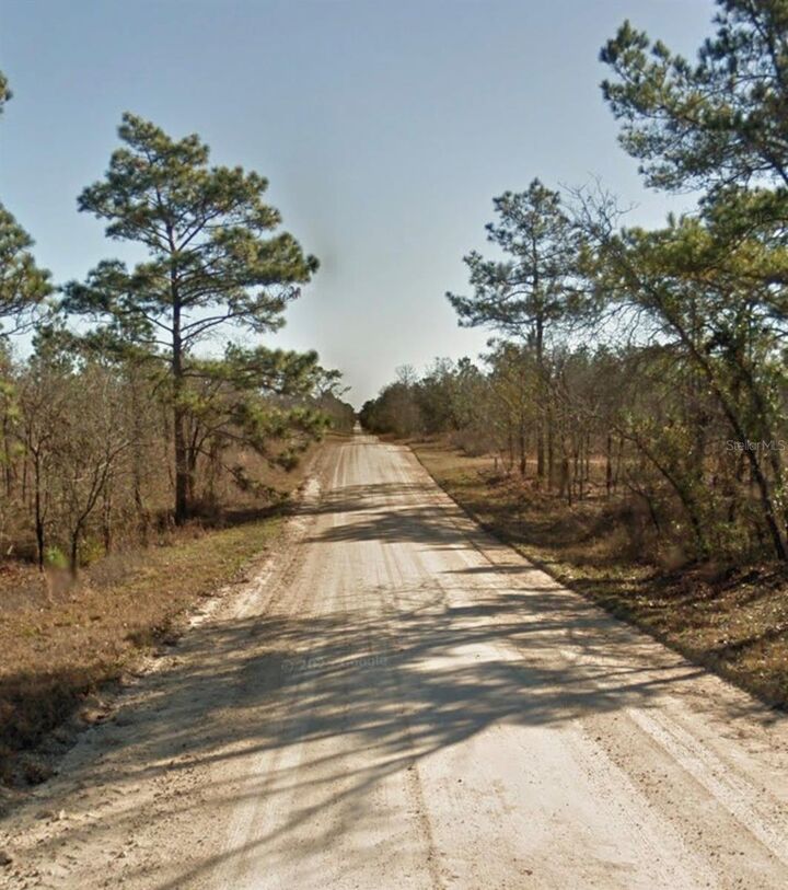 Property Photo: SE 23rd Place FL 32668