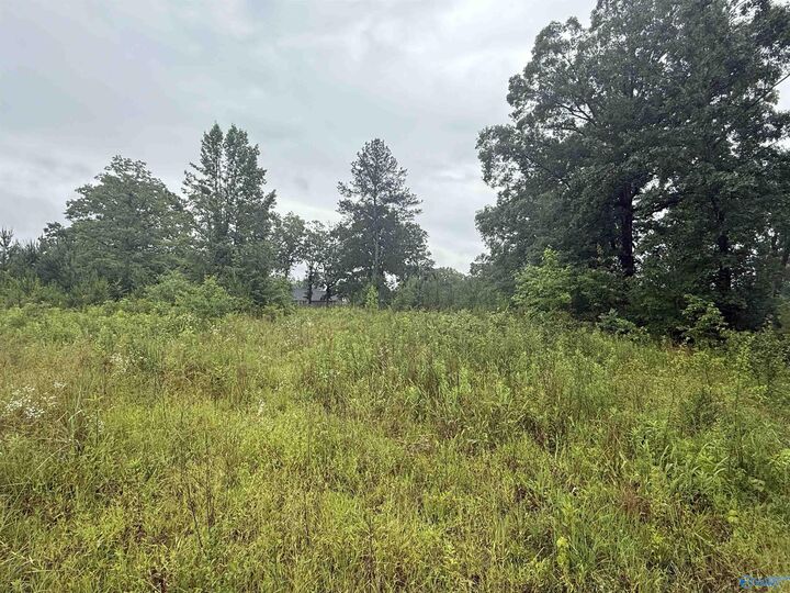 Property Photo:  6.77 Highway 9  AL 35960 