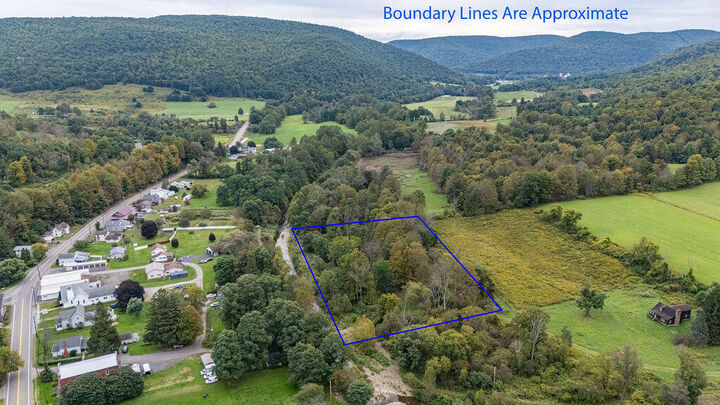 Property Photo: 054 Parcel Route 249 (Land) PA 16935