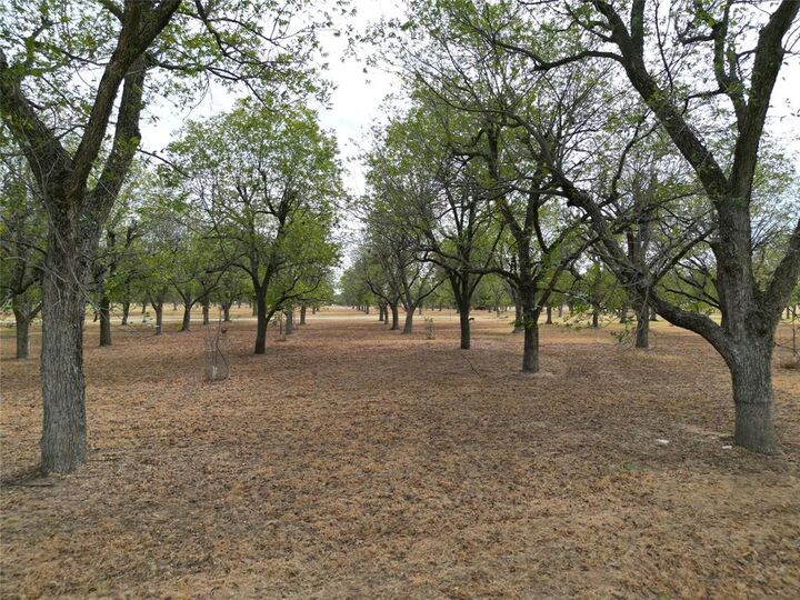 Property Photo:  1313 Cirrus Loop  TX 76049 