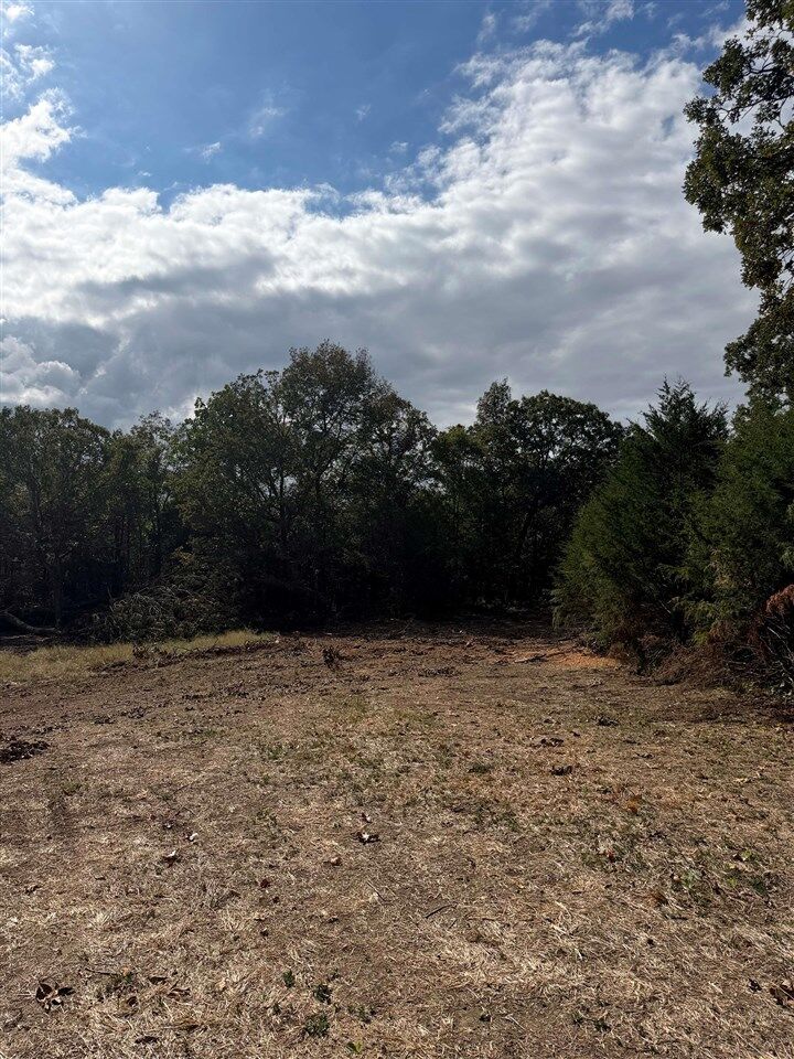 Property Photo: 0 Dennis Road KY 42276
