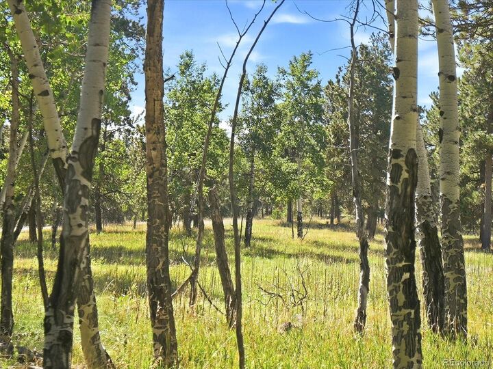Property Photo: 000 Molly Drive CO 80433
