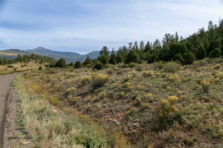 Property Photo:  963 Bear Creek Circle  CO 81154 
