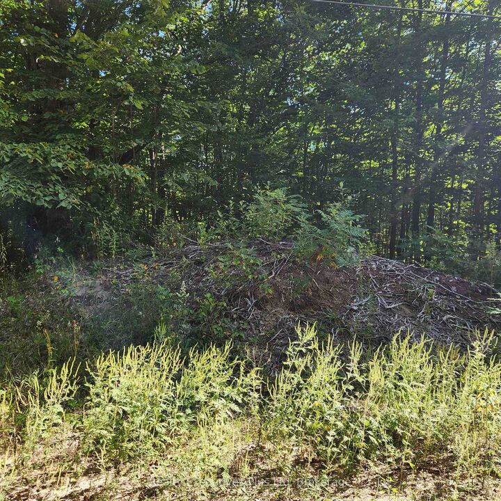 Property Photo:  Lt 165 Zhingos Lane  ON L9M 0A9 