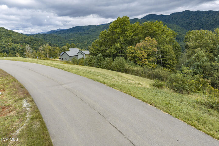 Property Photo:  Lot 29 Cowan Town Road Lot 29  TN 37640 