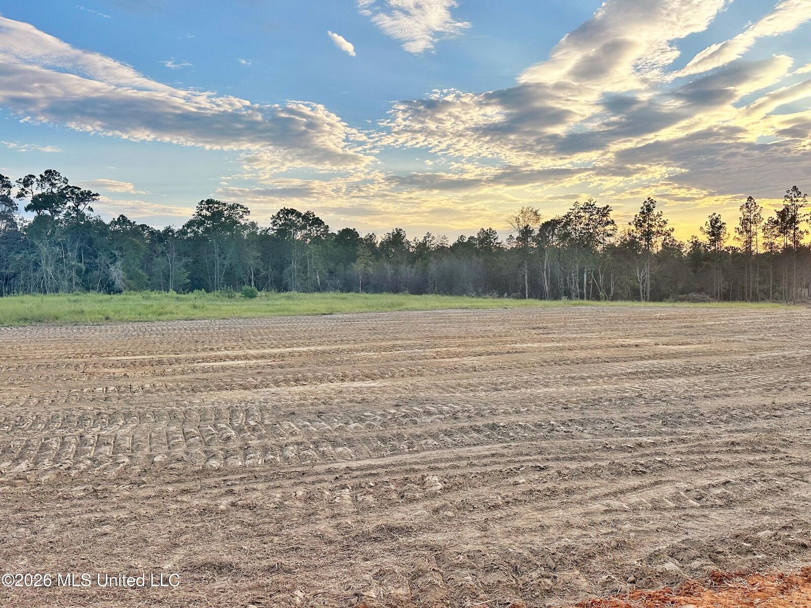 Property Photo:  Lot 12 Little Cedar Road  MS 39452 
