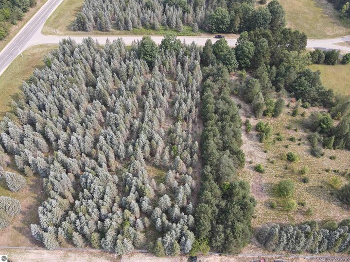 Property Photo: Parcels A &Amp B Danbury Road MI 49649