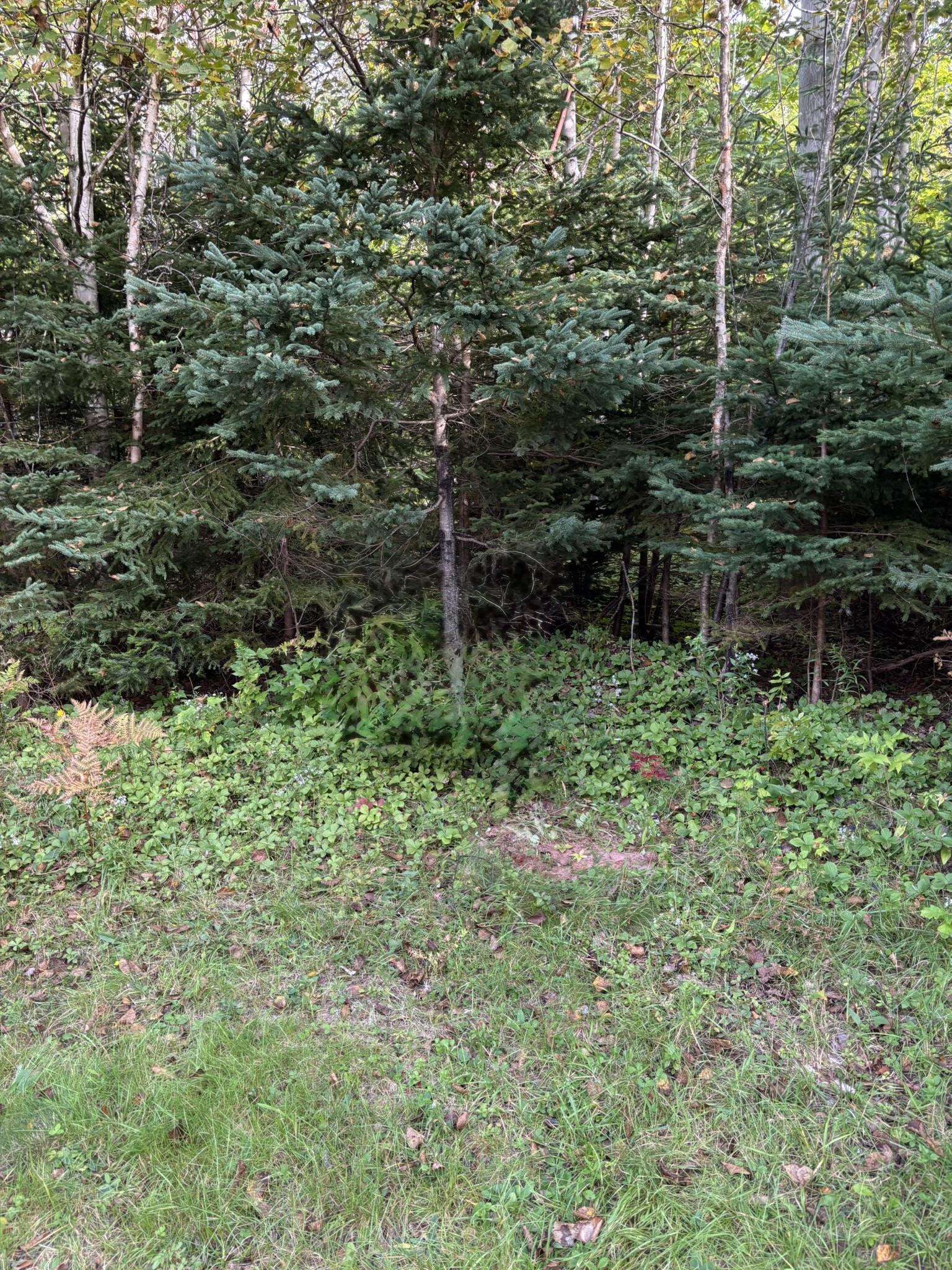 Photo de la propriété: Lot 2 Panmure Island Road PE C0A 1R0