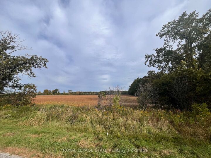 Property Photo:  Vl Kings Row N/A  ON N1A 2W7 