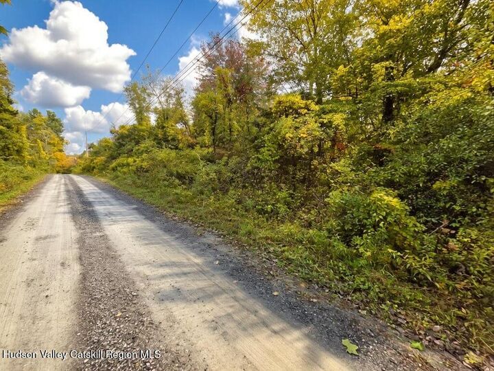 Property Photo:  0 Spring  NY 12534 