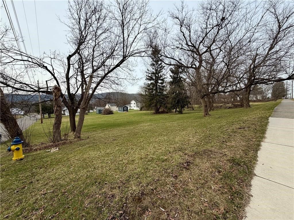 Property Photo: 00-2 Winfield Street NY 14830