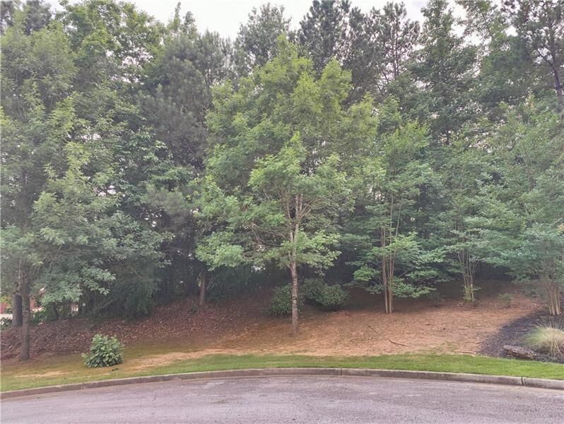 Property Photo: 239 Amy Overlook GA 30349
