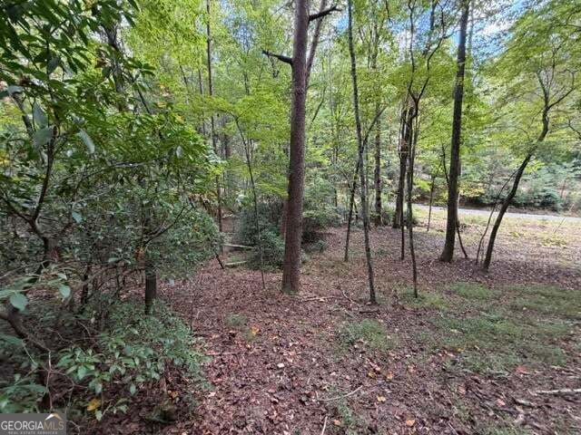 Property Photo:  133 Seneca Drive  GA 30540 